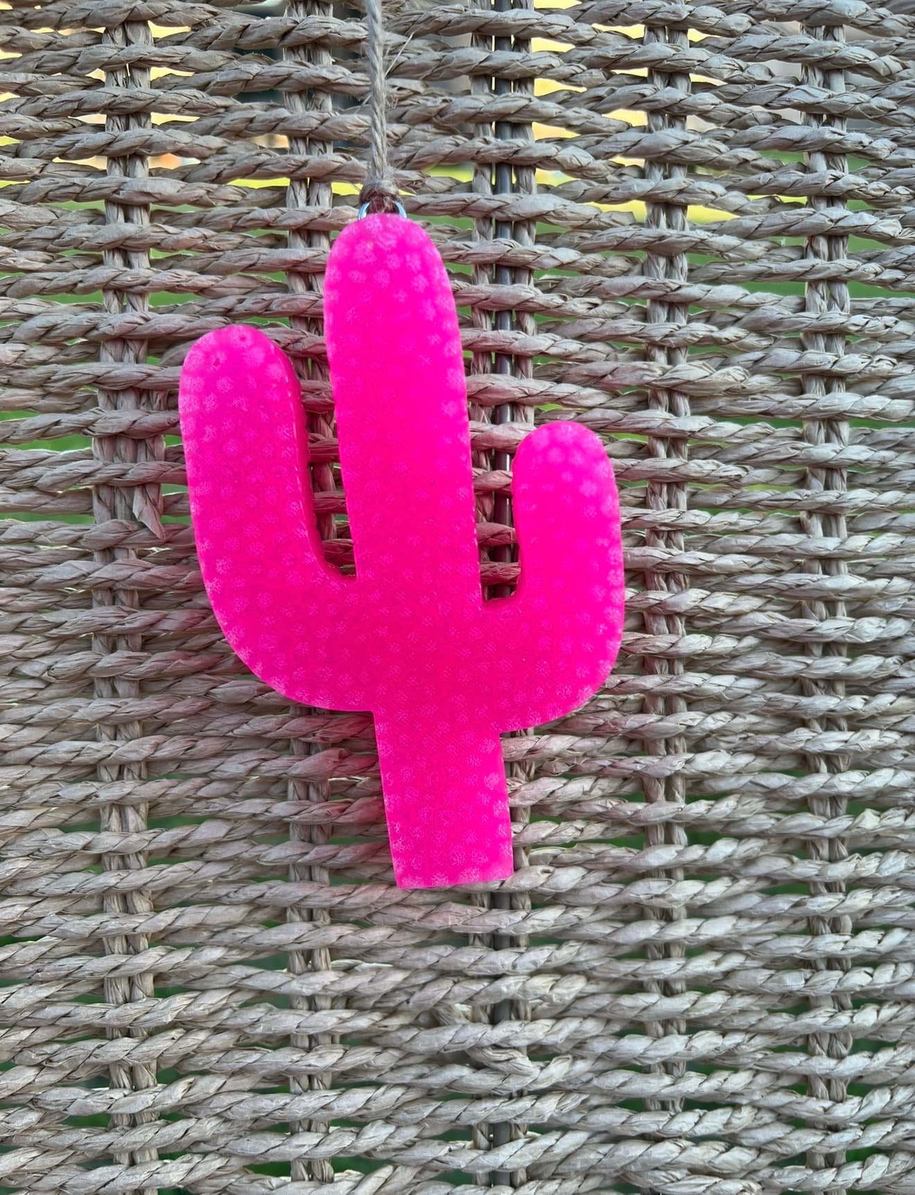 Hot Pink Cactus